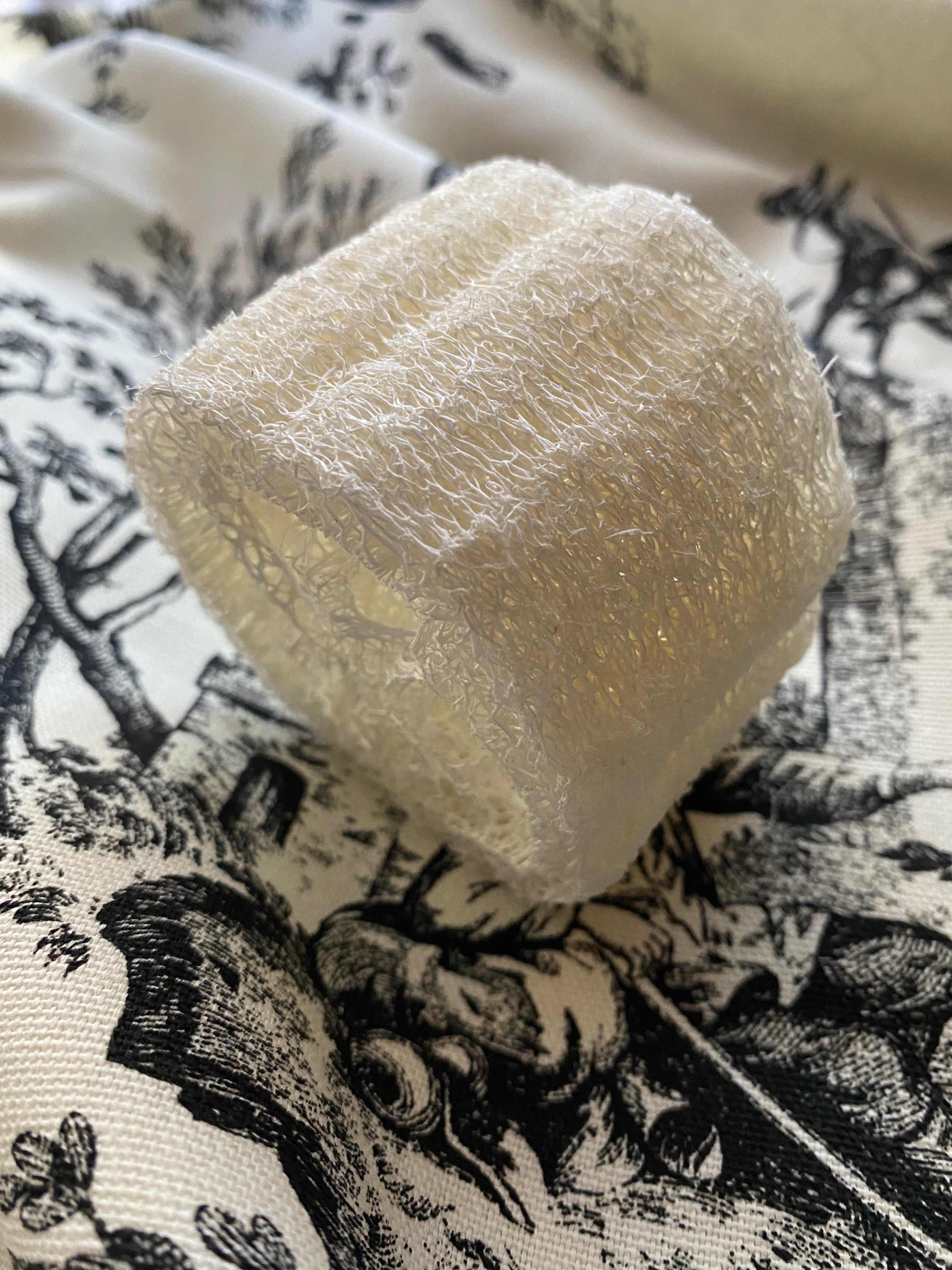 2" Natural Luffa